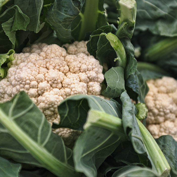 Cauliflower Florets (500gm)